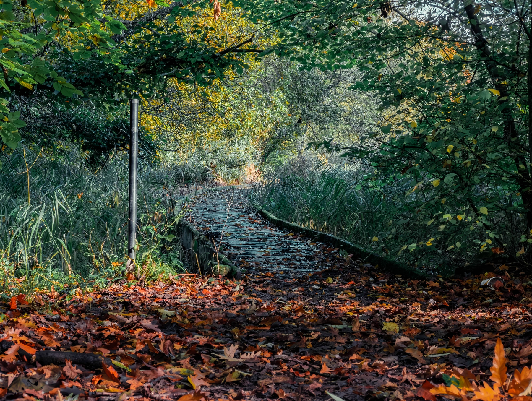 Woodhall Lake photography