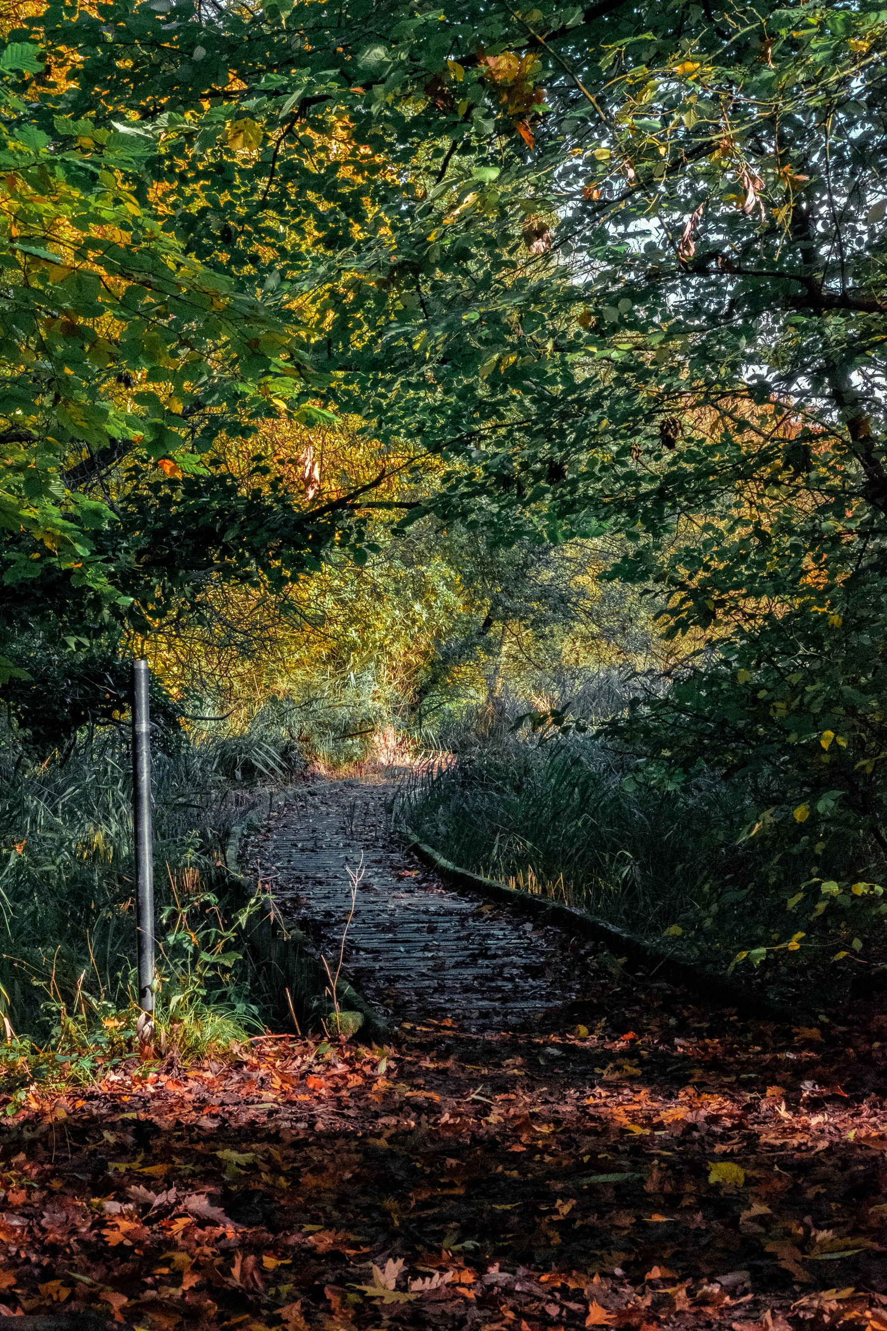 Woodhall Lake photography