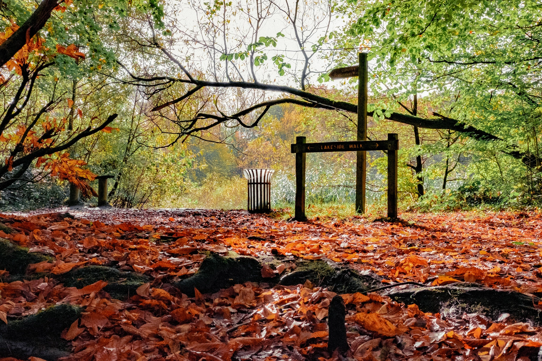 Woodhall Lake photography