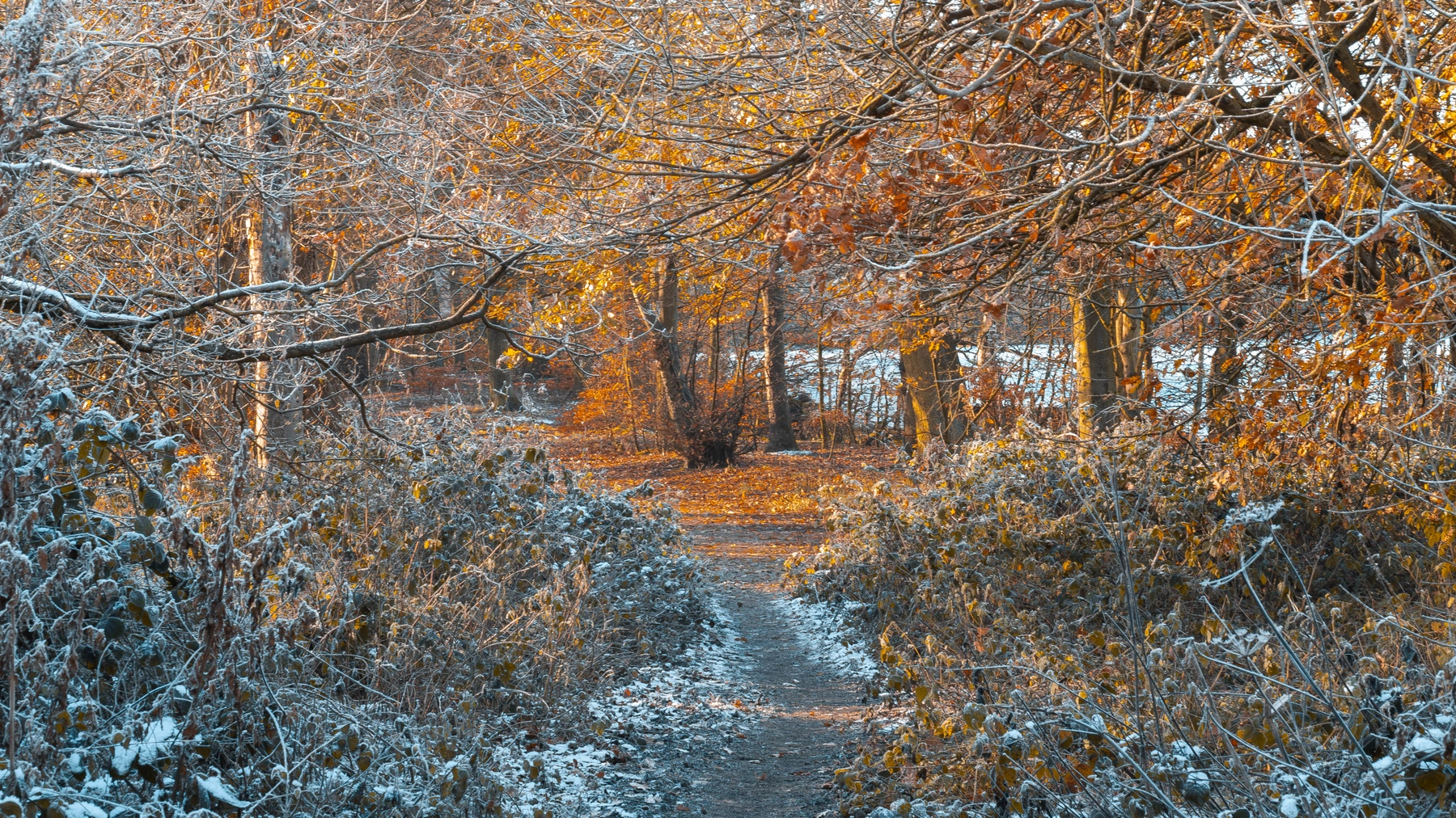 Woodhall Lake photography