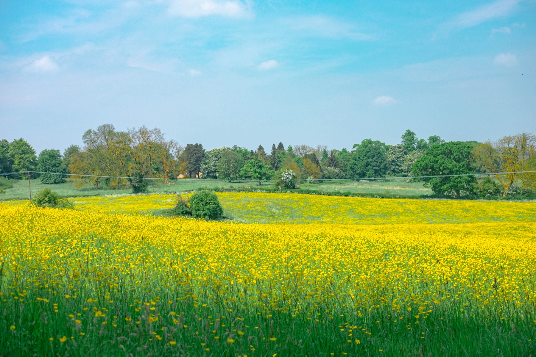 Featured photograph